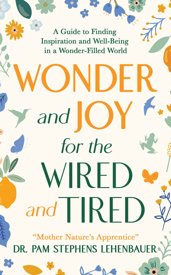 Wonder and Joy for the Wired and Tired Review Tour &&nbsp;Giveaway!