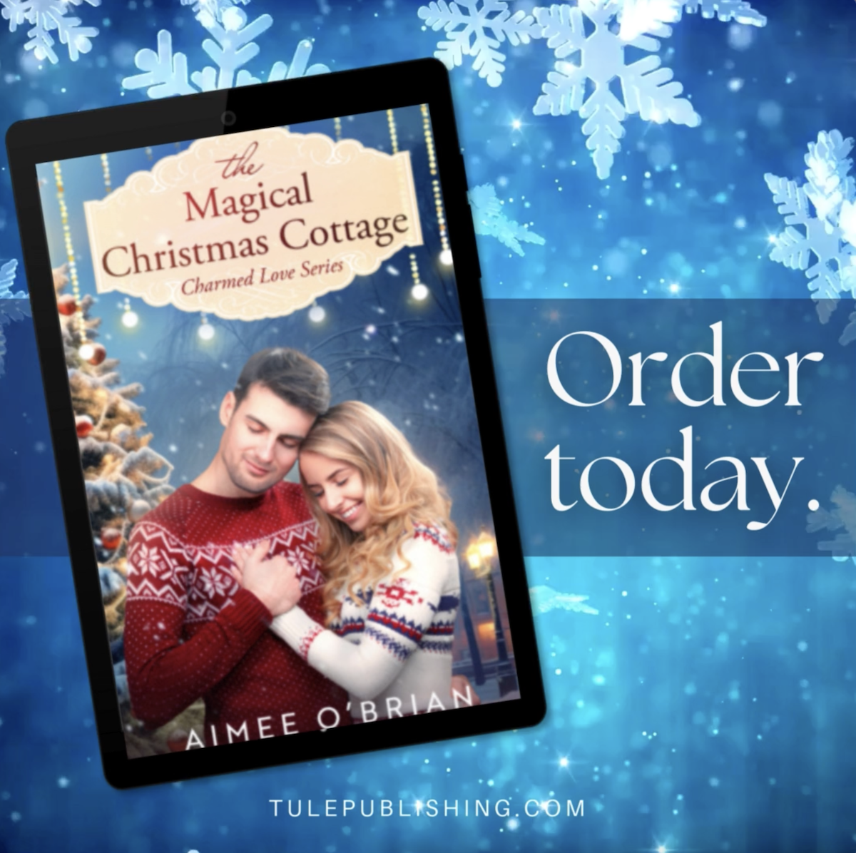   The Magical Christmas Cottage Blitz Tour &&nbsp;review!!