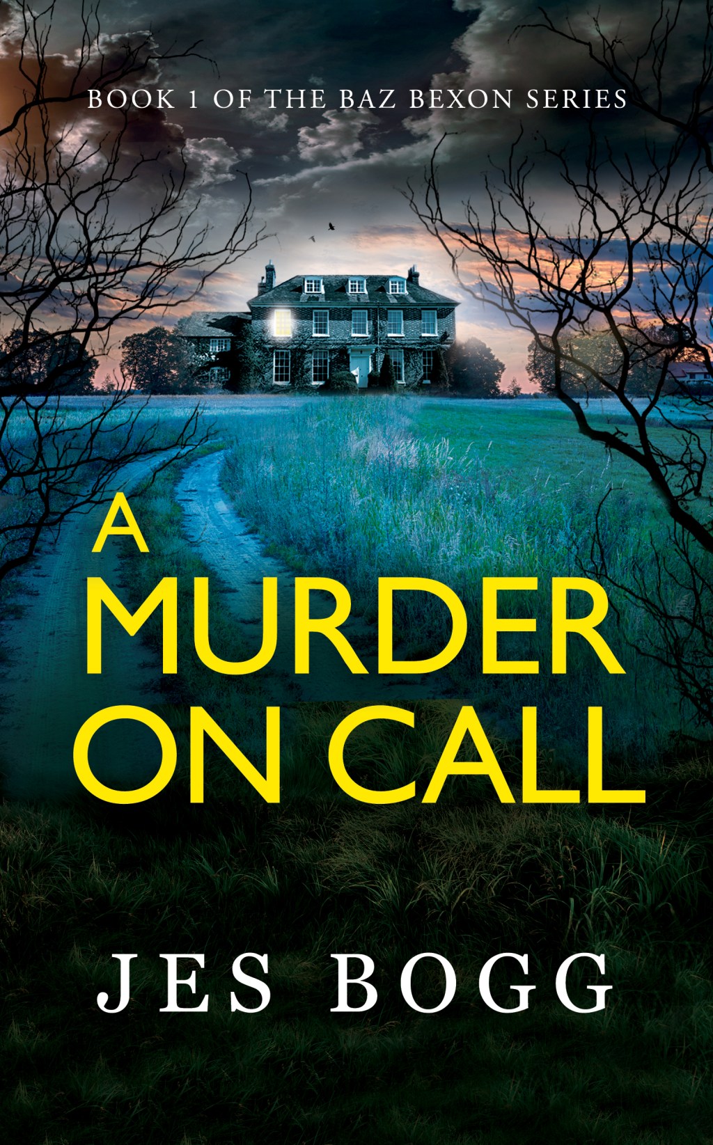  Murder On Call Book Tour and&nbsp;Giveaway!